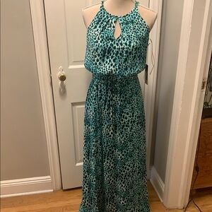 Green/Black Leopard Print Maxi Dress
